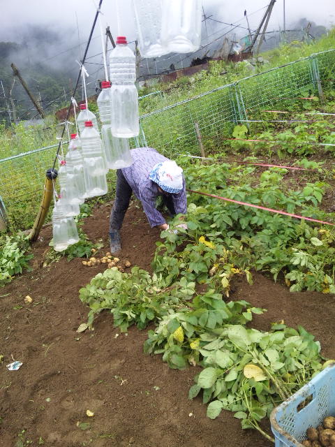 ���Y�җl�̎��n���i