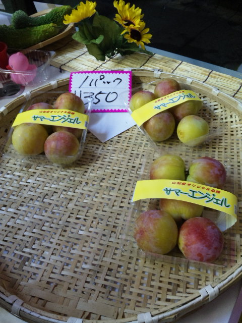 �V�������ԒB(^_-)-��