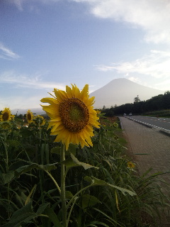 �x�m�R�n�b�L���ƌ����܂�