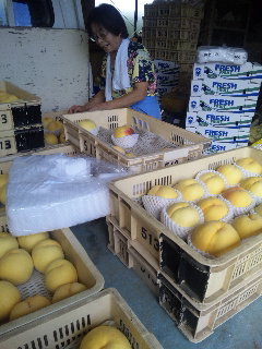 ��≩�����ł��ˁI���͐��Y�ҏ��є_���l�ł�