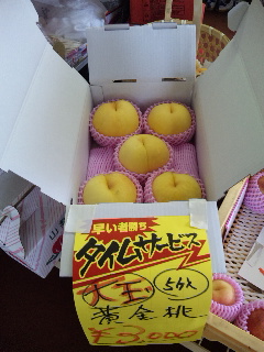 �V�������ԒB�ł�(^_-)-��