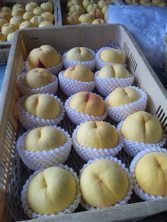 �V�������ԒB�ł�(^_-)-��