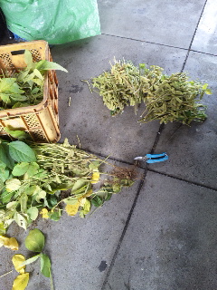 �V�������ԒB�ł�f^_^;