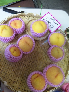 ��������������(o^�`^o)