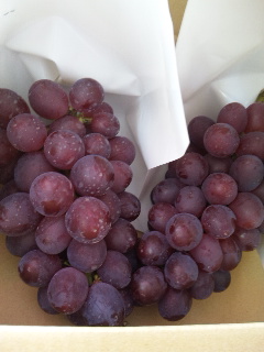 �V�������ԒB�ł�??(�KQ�B)?   �傫������