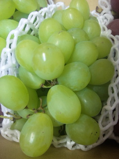 �V�������ԓo��ł�(^_-)-�����U���I�������r�[p(^^)q