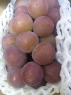 �V�������ԓo��ł�(^_-)-        �����r�[�ł�