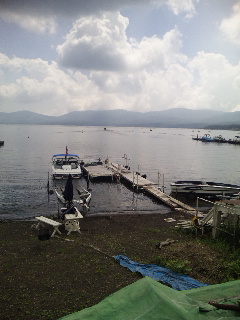 �ǂ��V�C�ł�(^_-)-��