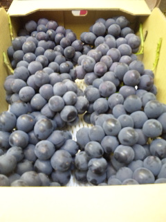 �V�������ԓo��ł���������(^_-)-��