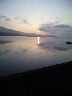 �R���ΌΔȒ���(^_-)-��