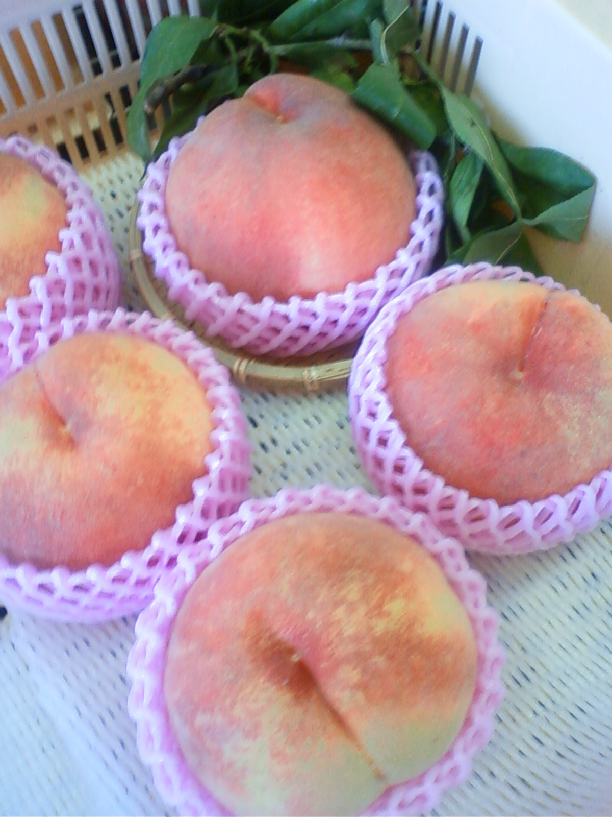 ���̎��������������I���(�m�t<�B)�K�B