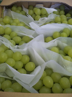 �f�G�Ȓ��ԒB�o��ł�