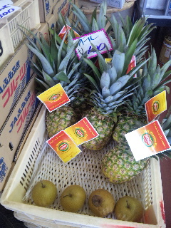 �f�G�Ȓ��ԒB�o��ł�