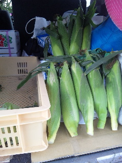 ���N�Ō�̌�����낱��400�{����