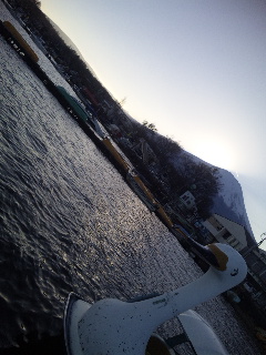 �R���΂���̕x�m�R�ł���