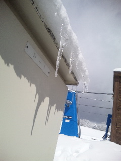 �t���A������������n��������