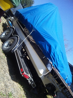 �V�[�Y�����܂��ǂ�������