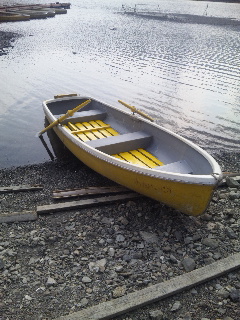 ���[�{�[�g�����ϒ����ł�