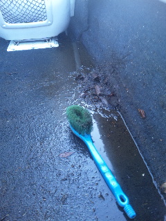 �t��Ԃ̓˕��E�J�I����(T-T)