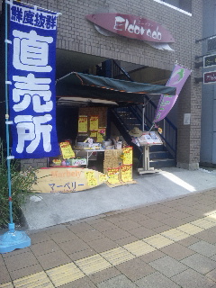 ��a��s�w�O�X