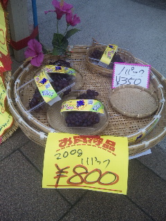 ��a��s�w�O�X�I�I�X�X�������f���E�F�A�I