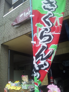 ��a��A�E�g���b�g����A��̍ہA��a��s�w�O300M�R�����Y���I�����I�������ځI�{�̂��y�Y�I��������蒼�����I�w���猩���܂��`���̊����I