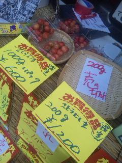 ����؂ꂲ�߂�i�|�a�|�j�J