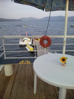 �R���Ήĕ����I�v���o�ό��I�L�O�ʐ^�ł�(^o^)v�}�[�x���[�R����