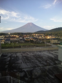 �����������@���������މ@�ł�