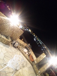 Doll�A�[�e�B�X�g�I�H��K�q����I